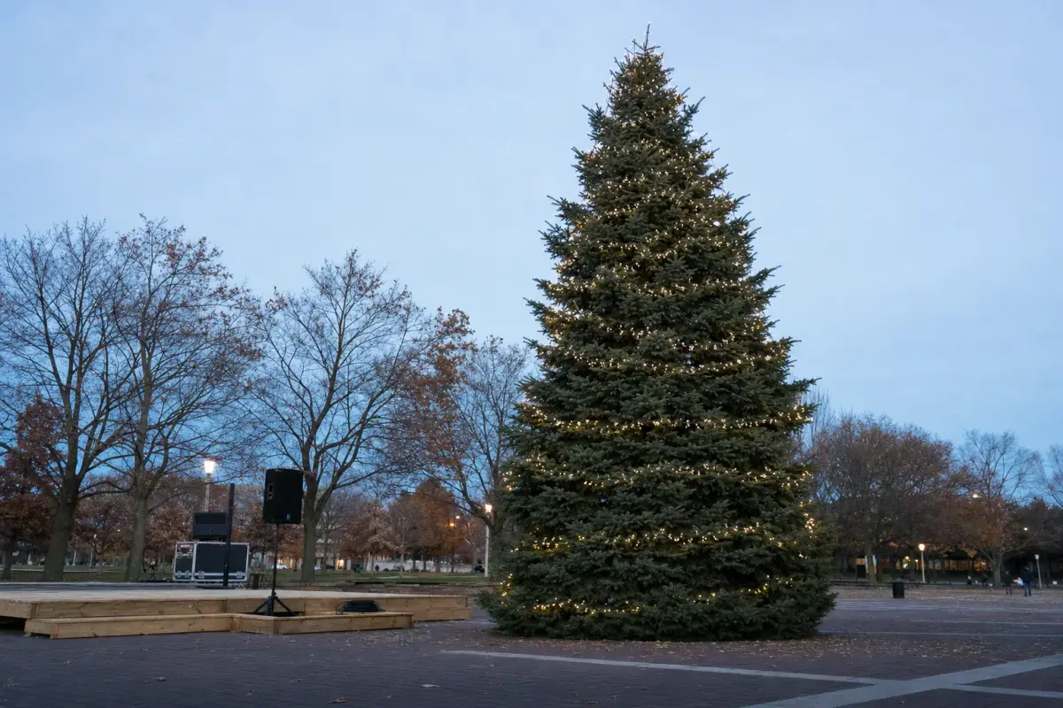AI illustration: close-up of a tall evergreen Christmas tree wrapped in unlit warm white string lights, standing on an empty paved park plaza beside a small plain wooden stage with a few stacked speaker cases and a coiled cable, with bare trees and a darkening sky blurred behind