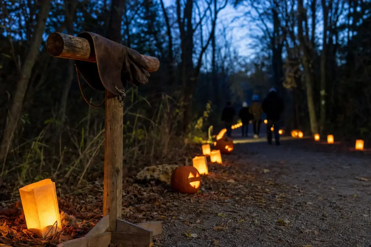 AI illustration: a dusk-lit woodland trail at a nature centre with a row of small plain glowing paper lanterns and a few carved pumpkins lining the edge of a gravel path, with a wooden perch holding a plain leather falconry glove in the foreground and dark tree trunks blurred beyond