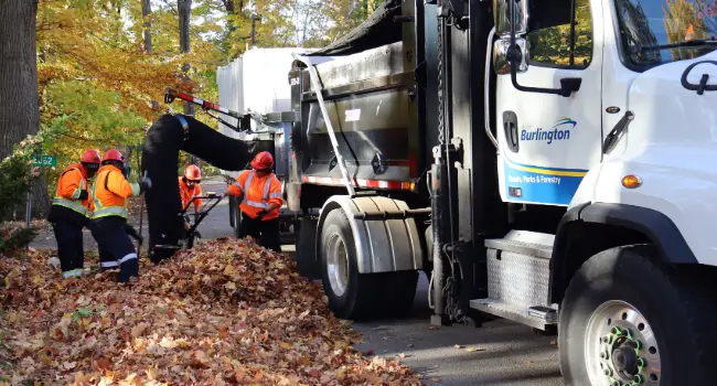 City of Burlington crews standing alongside a leaf collection truck